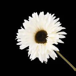Artificial Daisy