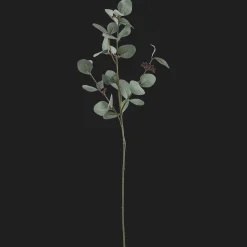 Artificial Eucalyptus Stem