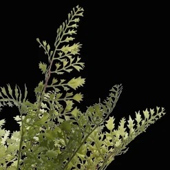 Artificial Fern in Ceramic Pot
