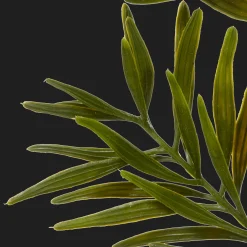 Artificial Leaves