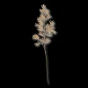 Beige Wild Leaves Stem