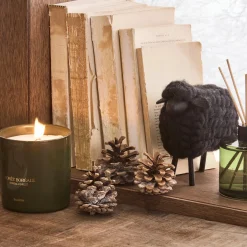 Boreal Forest Diffuser