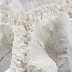 Decorative Coral