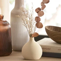 Dried Stem in a Vase