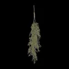 Hanging Leaves