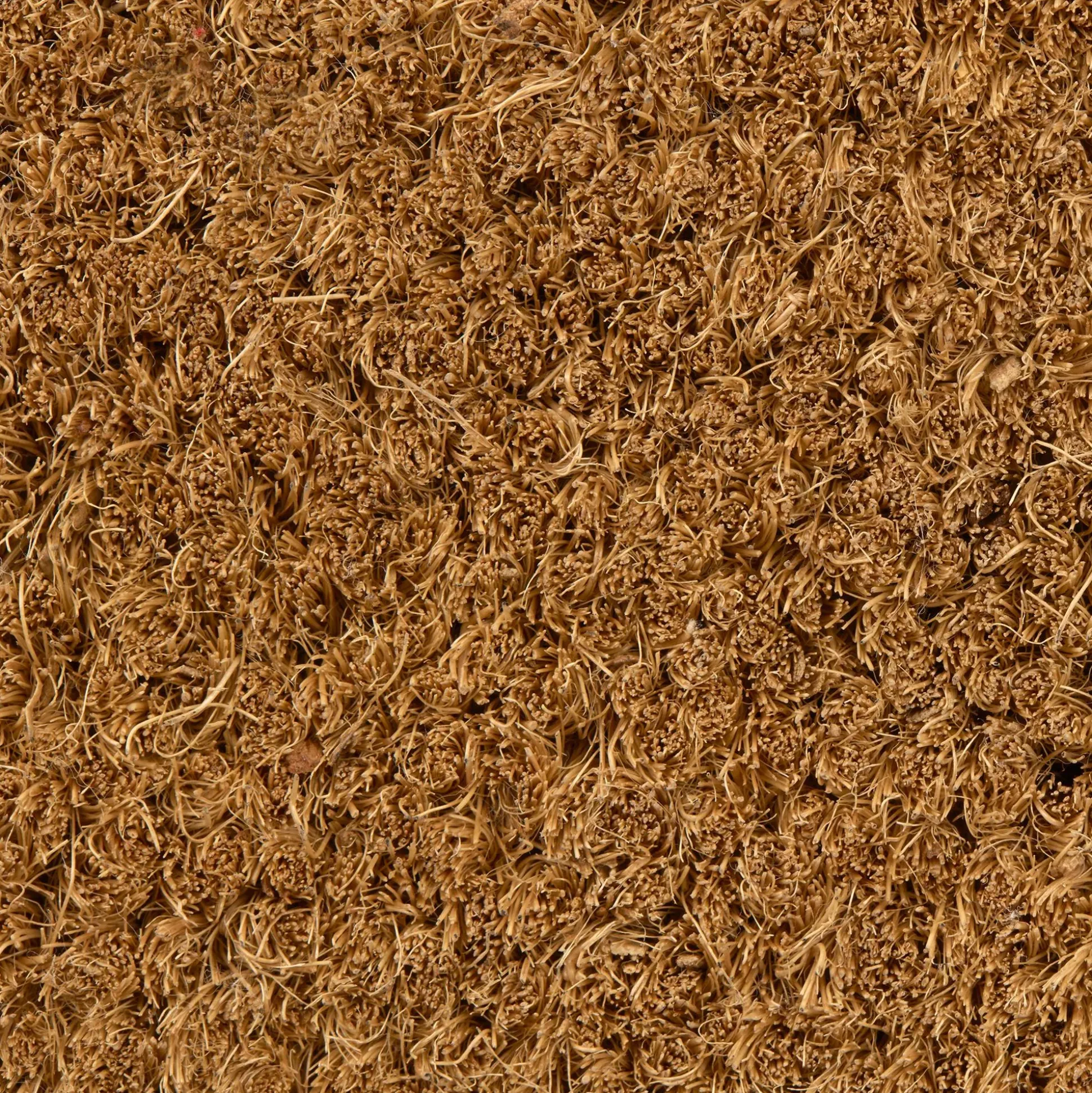 Home Sweet Home Doormat