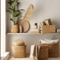 Large Ficus in Rattan Pot