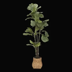Large Fiddle-Leaf Fig Potted Floor Plant