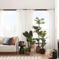 Large Fiddle-Leaf Fig Potted Floor Plant