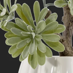 Lotus in Ceramic Pot