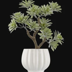 Lotus in Ceramic Pot