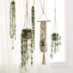 Macrame Potted Greenery