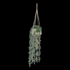 Natural Rope Hanging Eucalyptus