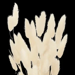 Natural Wheat Bunch