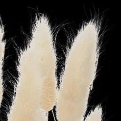 Natural Wheat Bunch