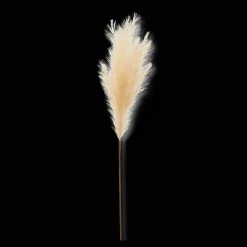 Pampas
