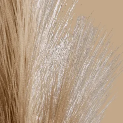 Pampas Stem