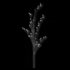 Pussy Willow Stem