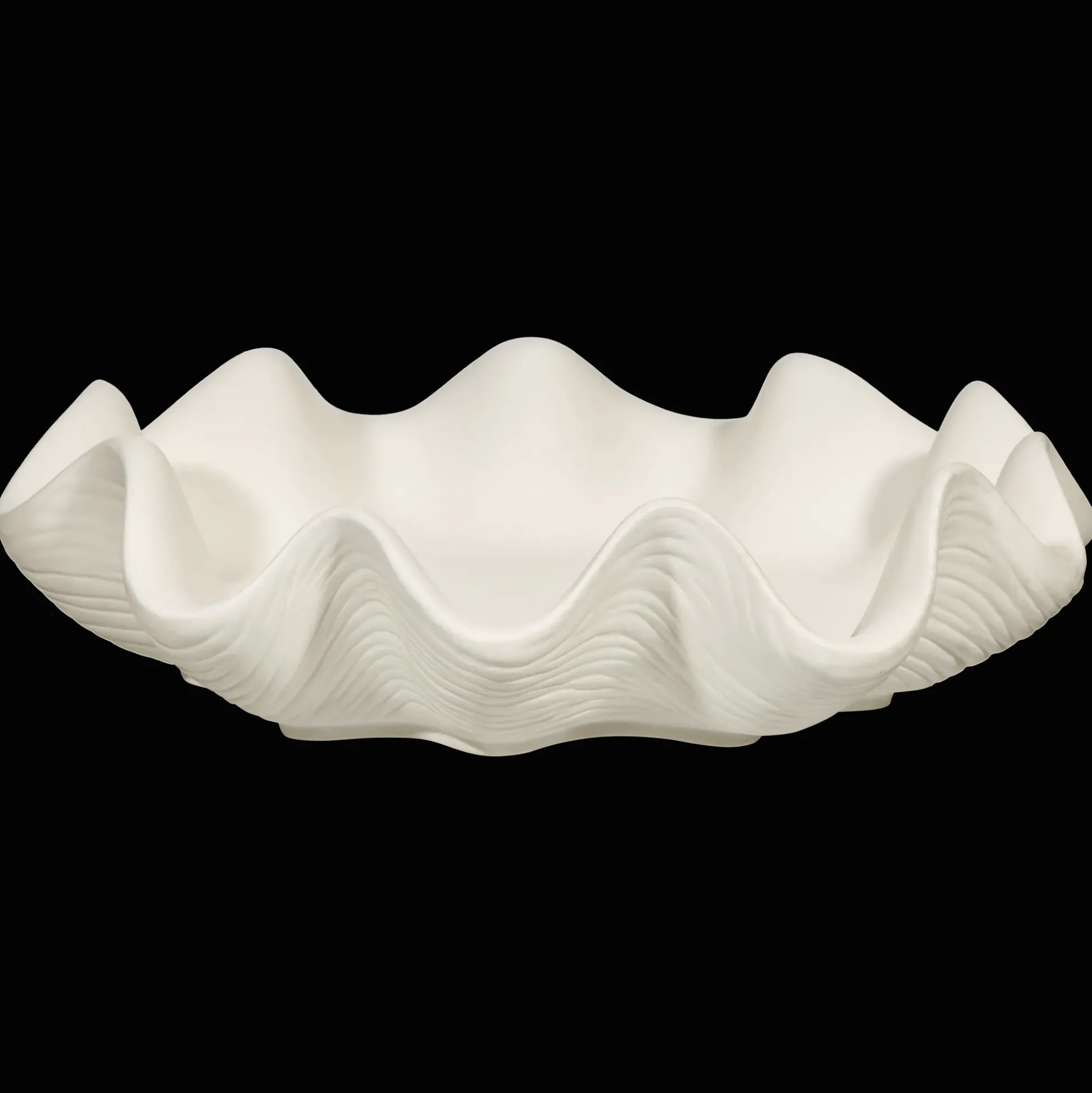 Shell Decorative Bowl