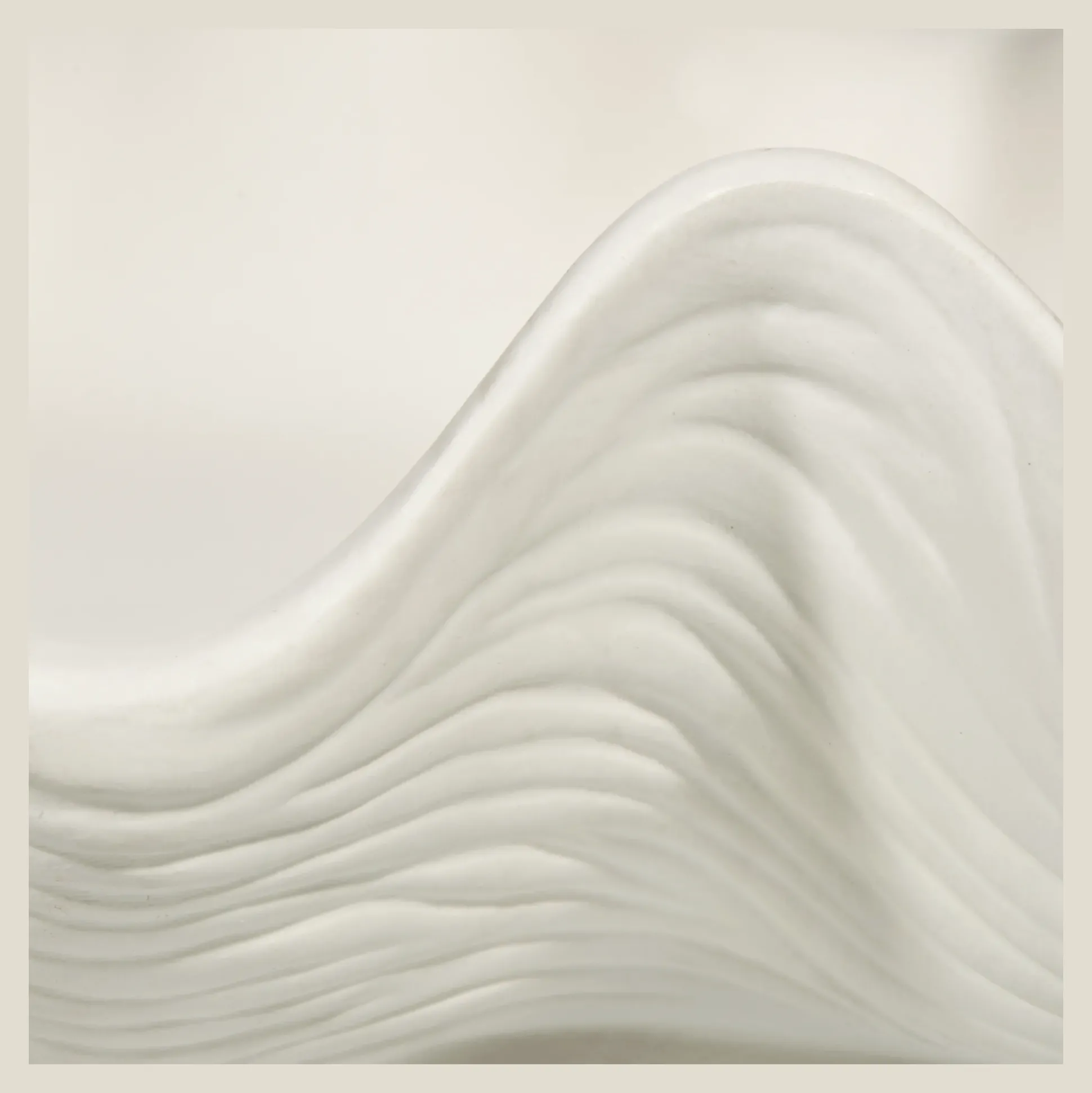 Shell Decorative Bowl