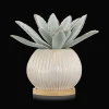 Succulent in Ceramic Pot