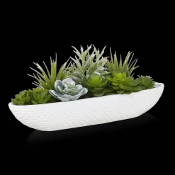 Succulents in Cement Tray