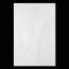 Textured 3D Oil Painting