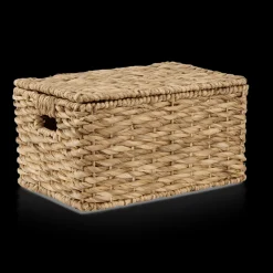 Water Hyacinth Storage Trunk