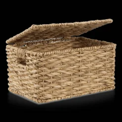 Water Hyacinth Storage Trunk