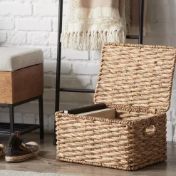 Water Hyacinth Storage Trunk