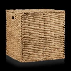 Water Hyacinth Storage Trunk