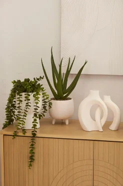 Waterfall Eucalyptus in White Hourglass Pot